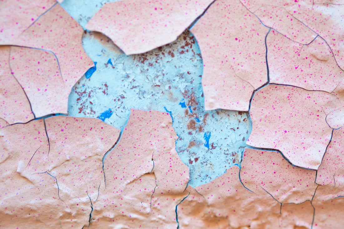The Skin Barrier: What it is, why yours is probably compromised, and how to actually fix it