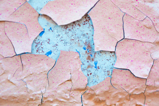 The Skin Barrier: What it is, why yours is probably compromised, and how to actually fix it
